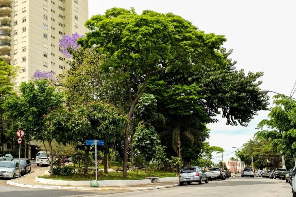 Mooca, a tradição de viver bem