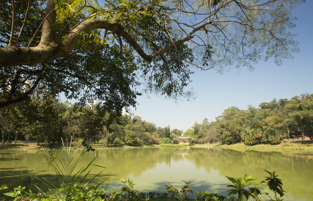 Retrato Paulista, no melhor da Aclimação