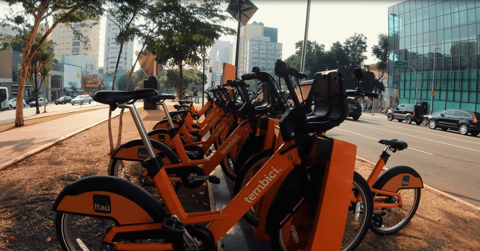 Retrato Pinheiros: conectado com toda a cidade