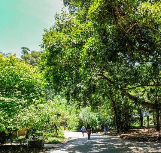 Parque da Aclimação