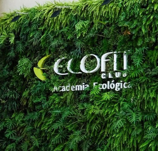 Ecofit Aclimação