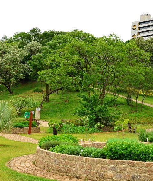 Parque da Cidade e Jardim Bota?nico