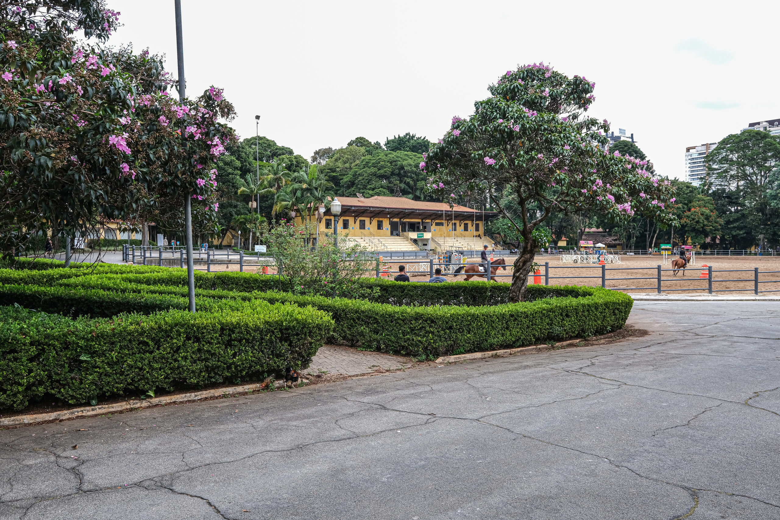 Parque Água Branca